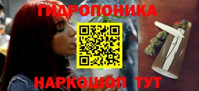 МДПВ Ливны